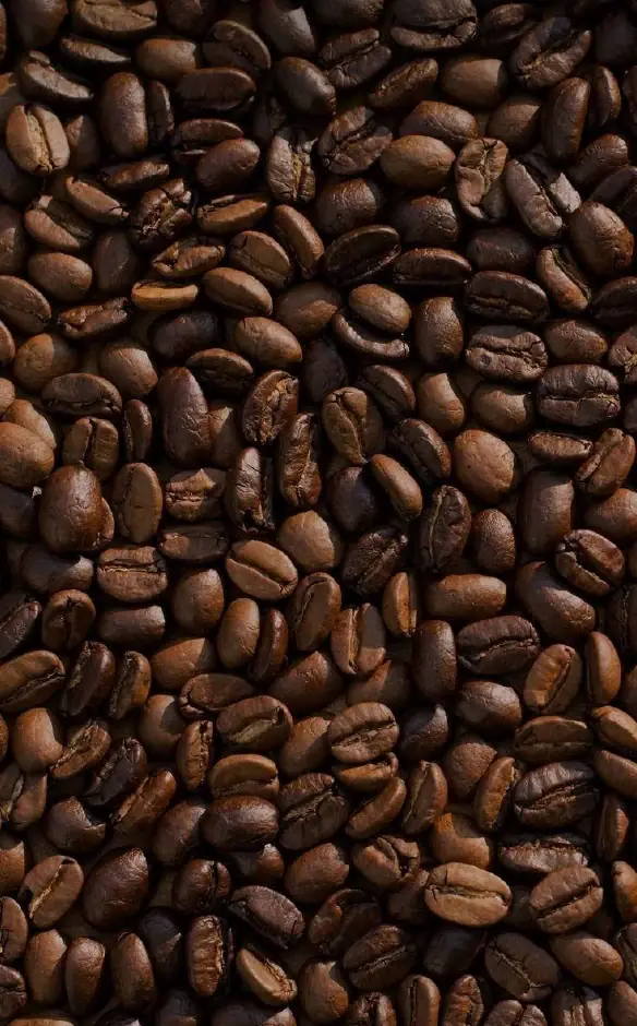 Granos de café tostado